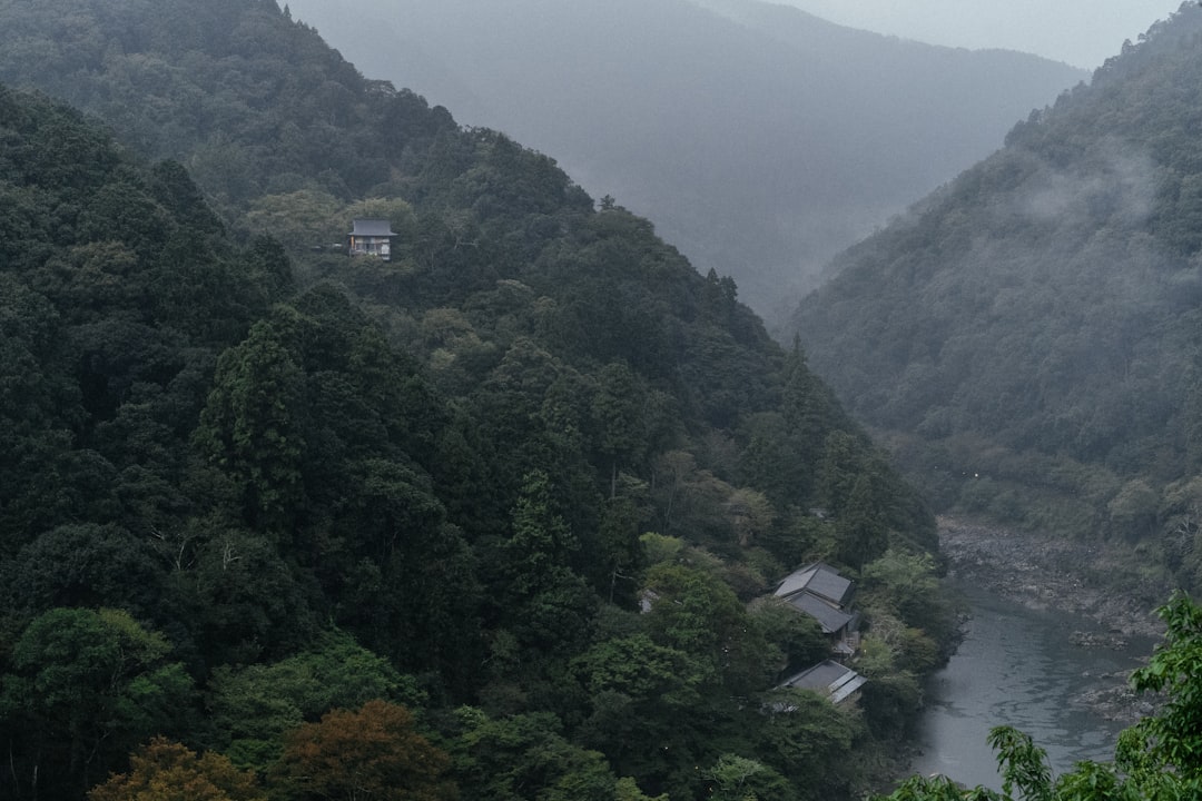 Iya Valley: O Coração Verde do Japão - Miyoshi | Secret World Trip Planner