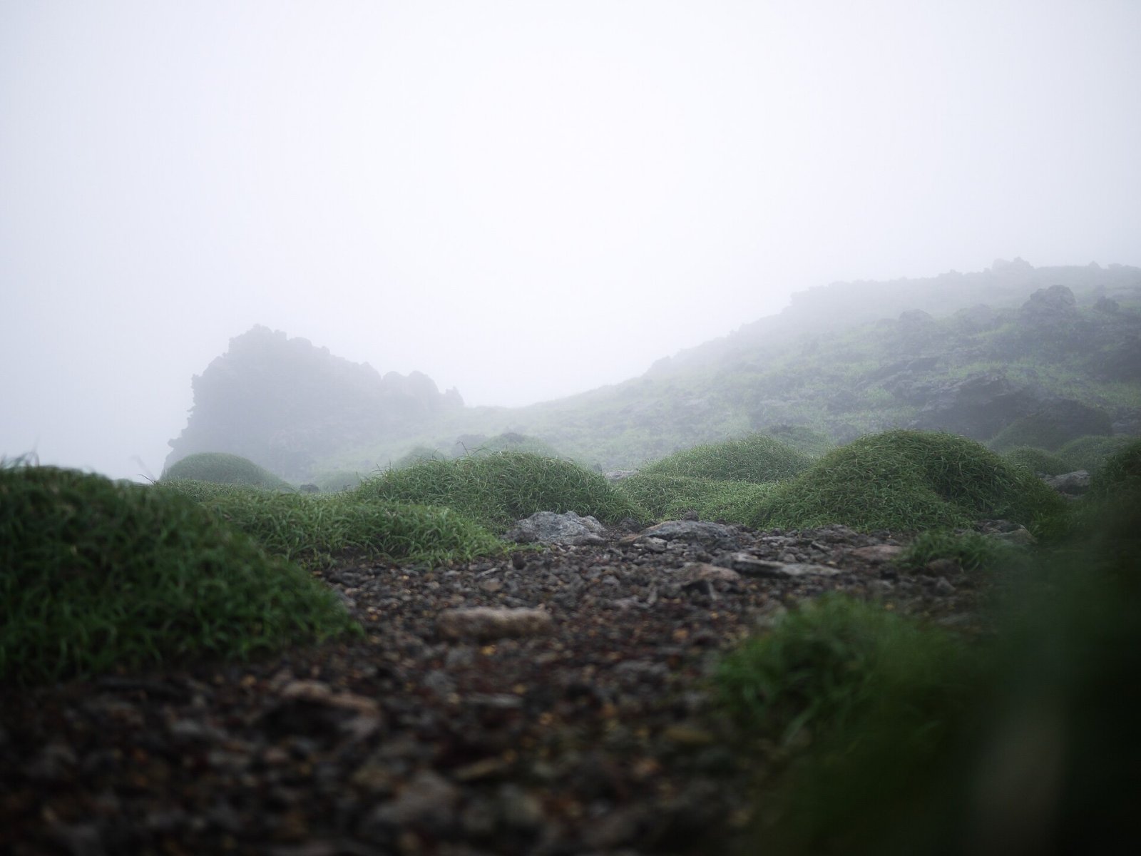 Entdecken Sie den Mount Aso: eine Reise durch Natur und Vulkane in Japan - Takamori | Secret World Trip Planner