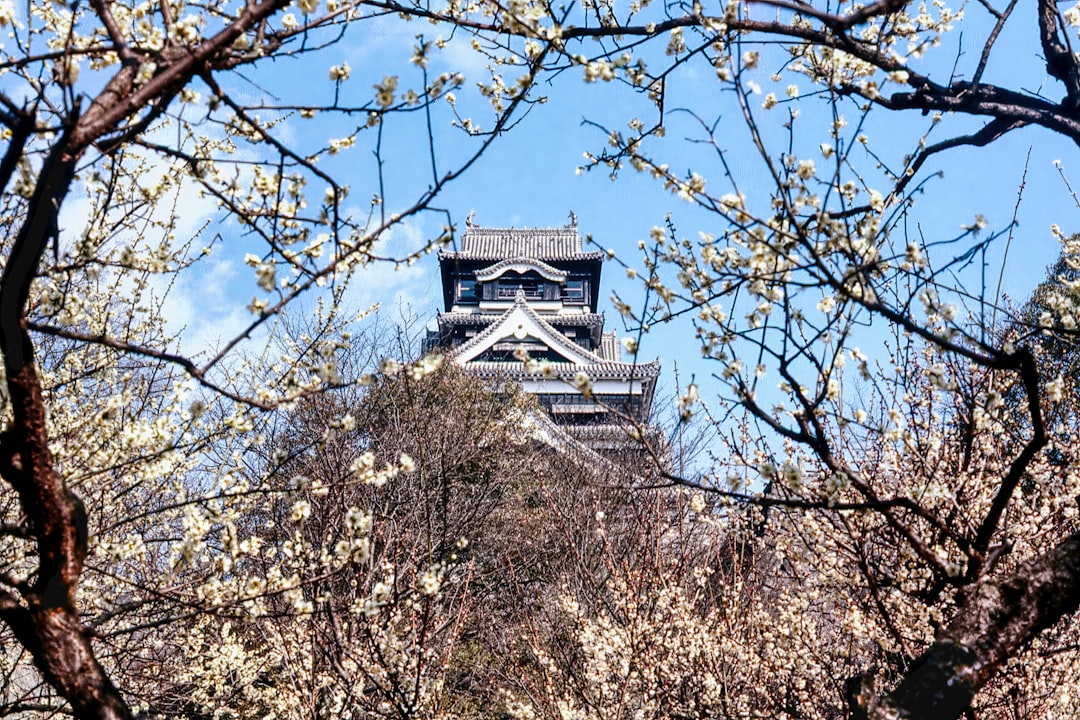 Esplorando il Castello di Kumamoto: Storia e Bellezze - Kumamoto | Secret World Trip Planner