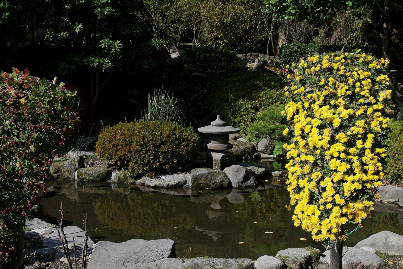 Discover Sengan-en Garden in Kagoshima: A Slice of Paradise - Kagoshima | Secret World Trip Planner