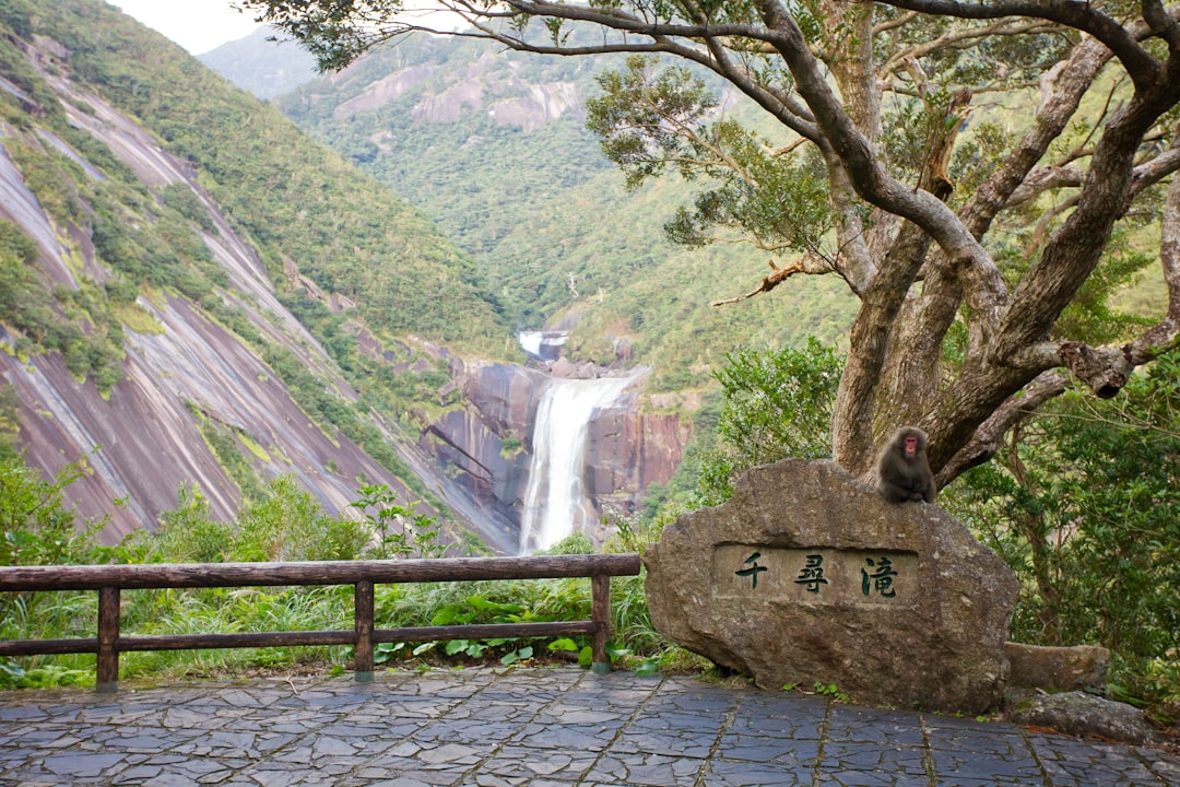 Entdecke Yakushima: Ein Naturjuwel Japans - Yakushima | Secret World Trip Planner