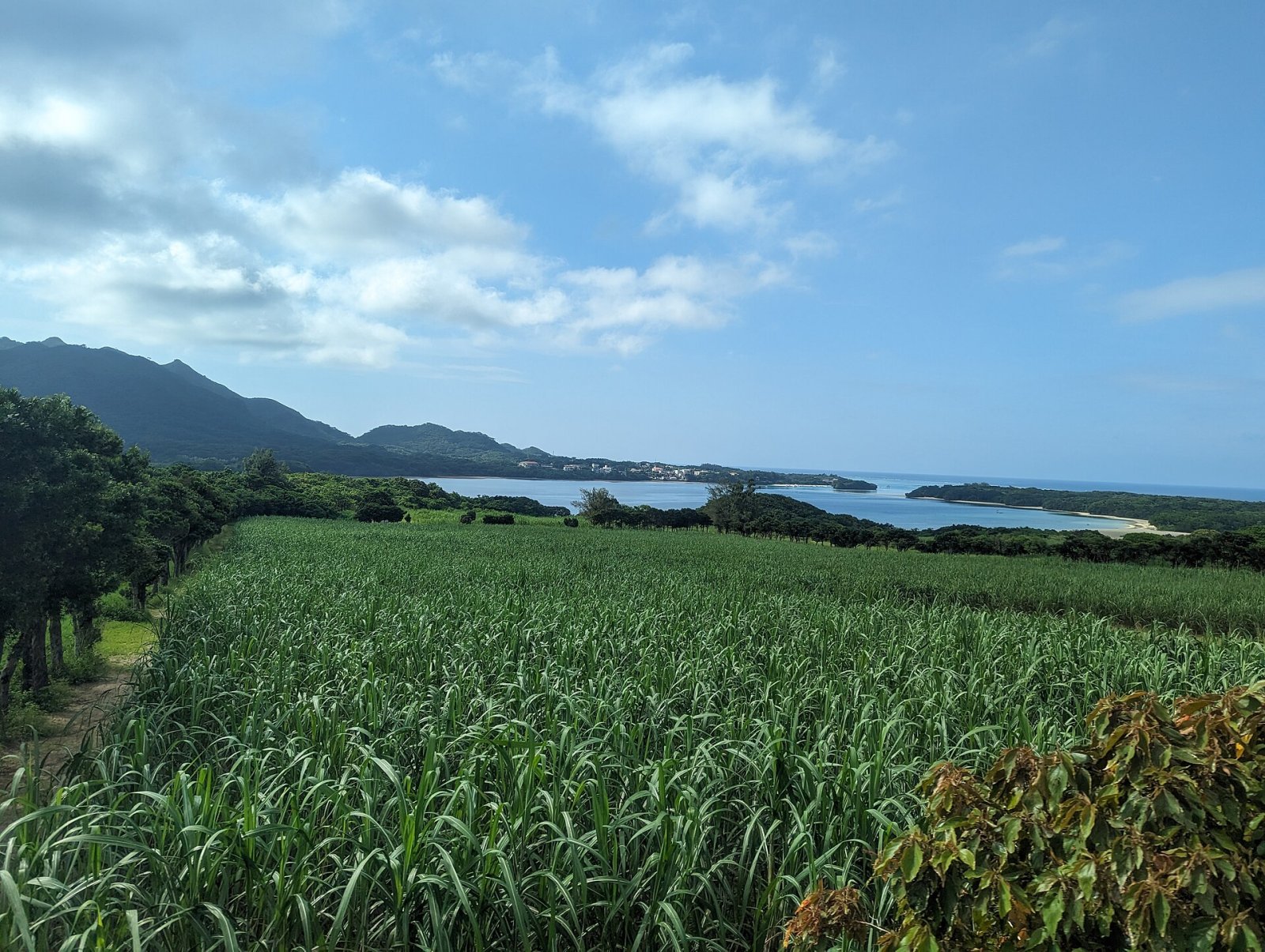 Ishigaki Island: una joya natural de las islas japonesas de Okinawa - Ishigaki | Secret World Trip Planner