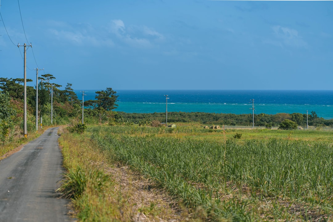 Entdecke die Iriomote-Insel: ein Paradies in Okinawa - Taketomi | Secret World Trip Planner