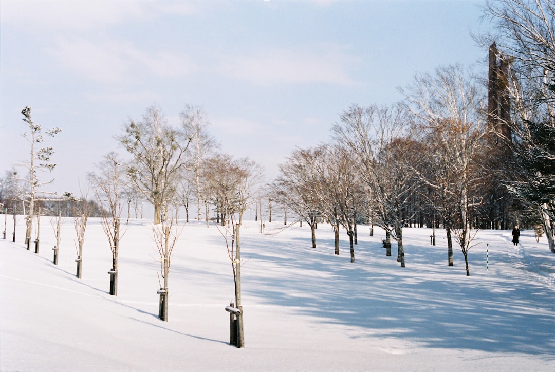 大通公園札幌：北海道の中心にある自然の隅 - Sapporo | Secret World Trip Planner