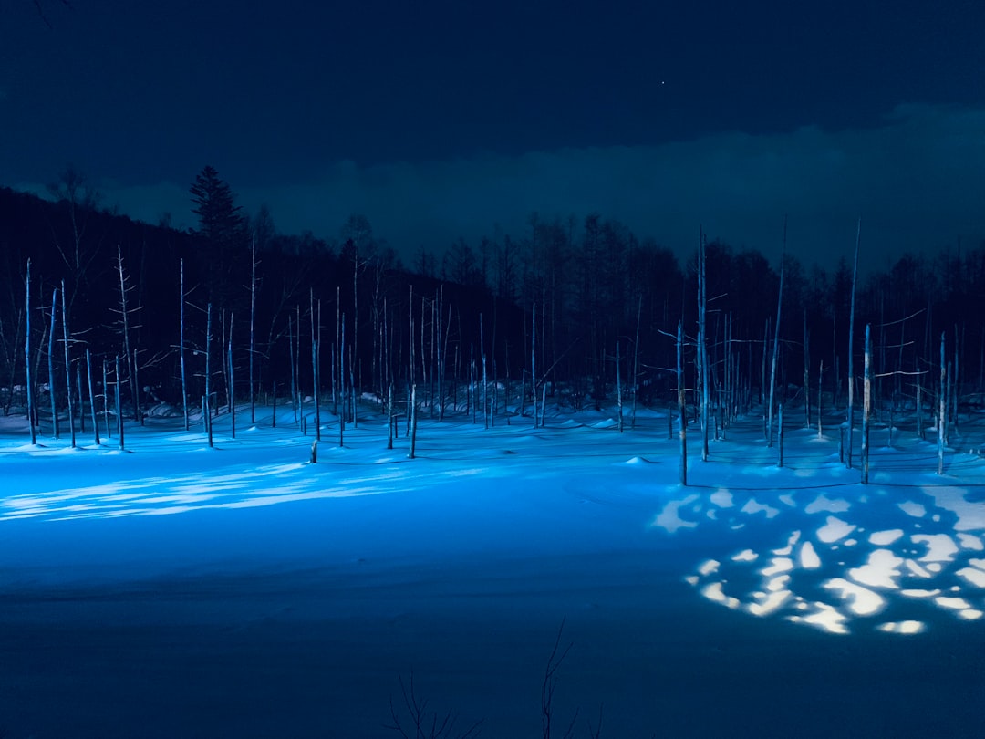 Discover Biei's Blue Pond: A Paradise Corner in Japan - Biei | Secret World Trip Planner