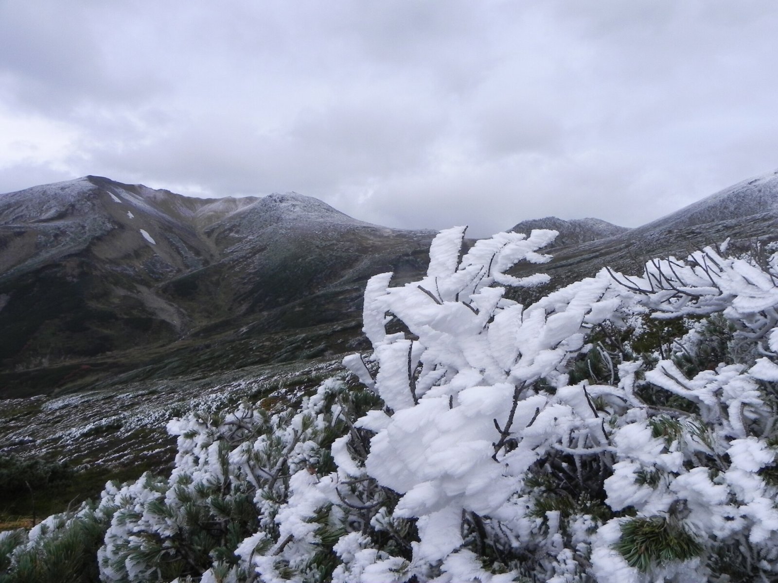 Scopri la bellezza del Parco Nazionale Daisetsuzan in Hokkaido - Higashikawa | Secret World Trip Planner
