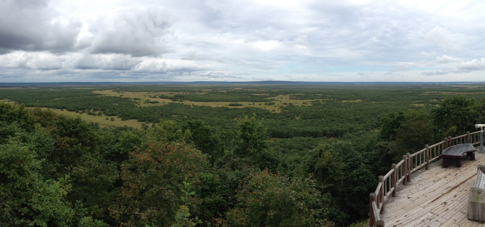Découvrez la magie des marais de Kushiro au Japon — Kushiro