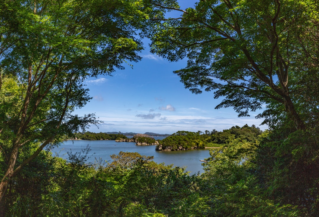 Залив Мацусима: Природный Рай в Сердце Японии - Matsushima | Secret World Trip Planner