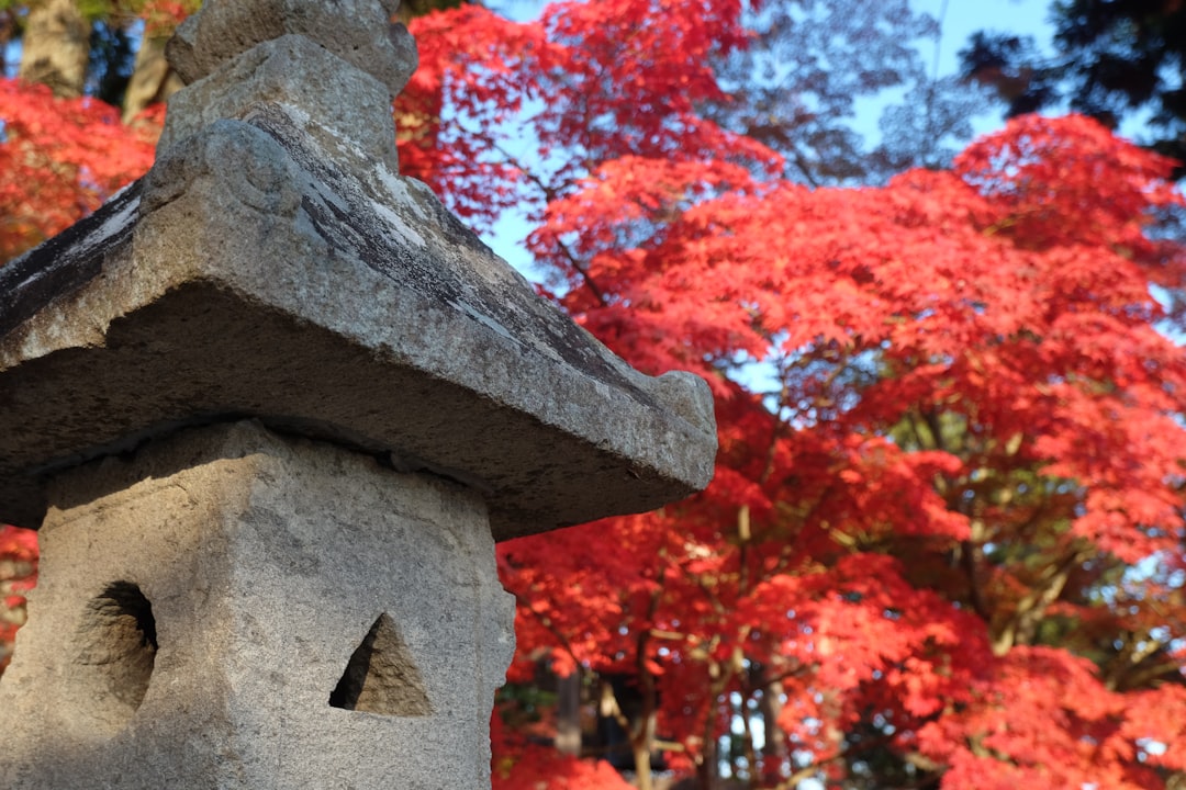 Scoprire Hiraizumi Chusonji: un tesoro storico nel Tohoku - Hiraizumi | Secret World Trip Planner