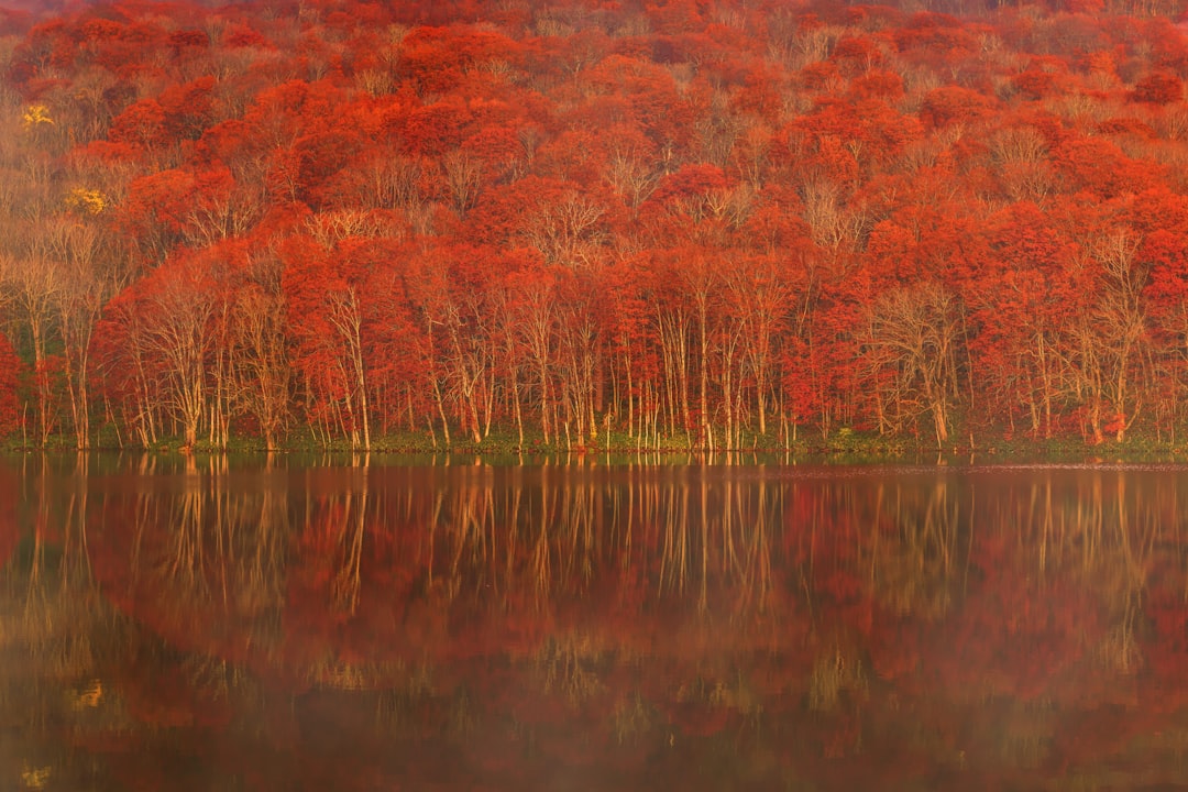 Discover Lake Towada: A Natural Gem in Tohoku - Towada | Secret World Trip Planner