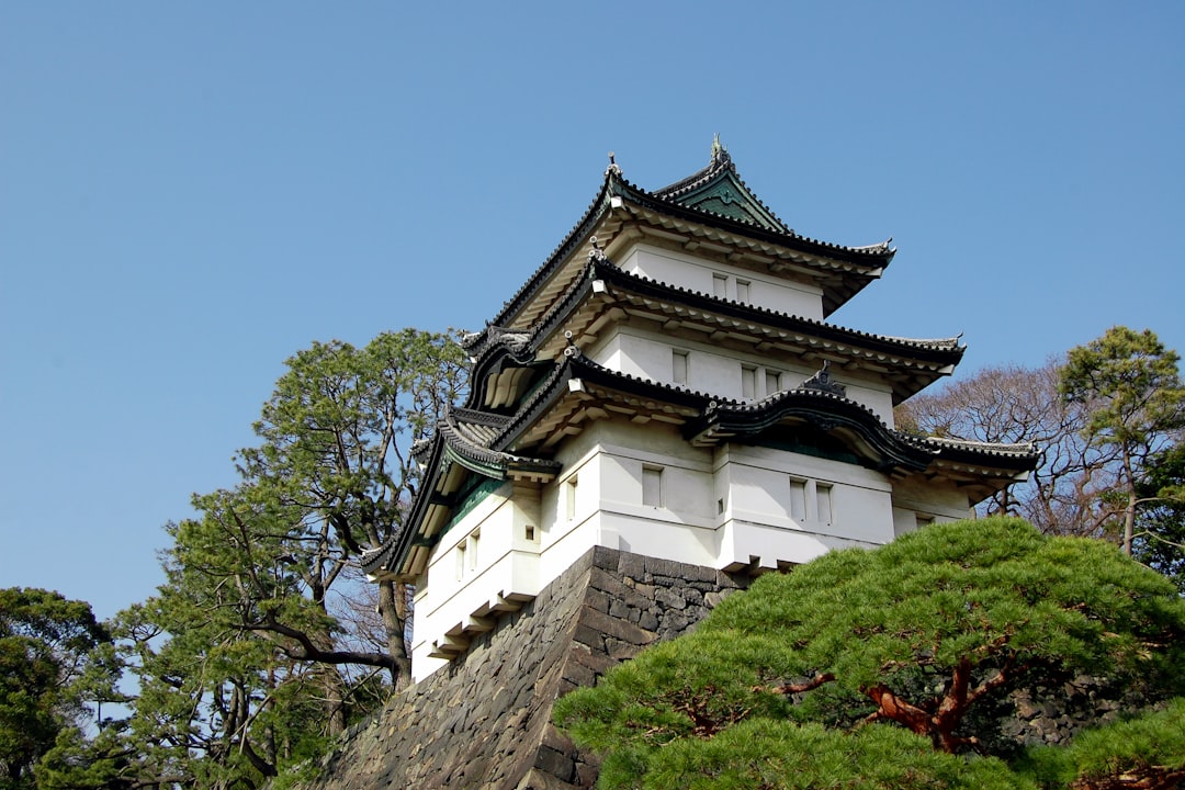 Castelo de Gujo Hachiman: Uma Viagem pela História do Japão - Gujo | Secret World Trip Planner