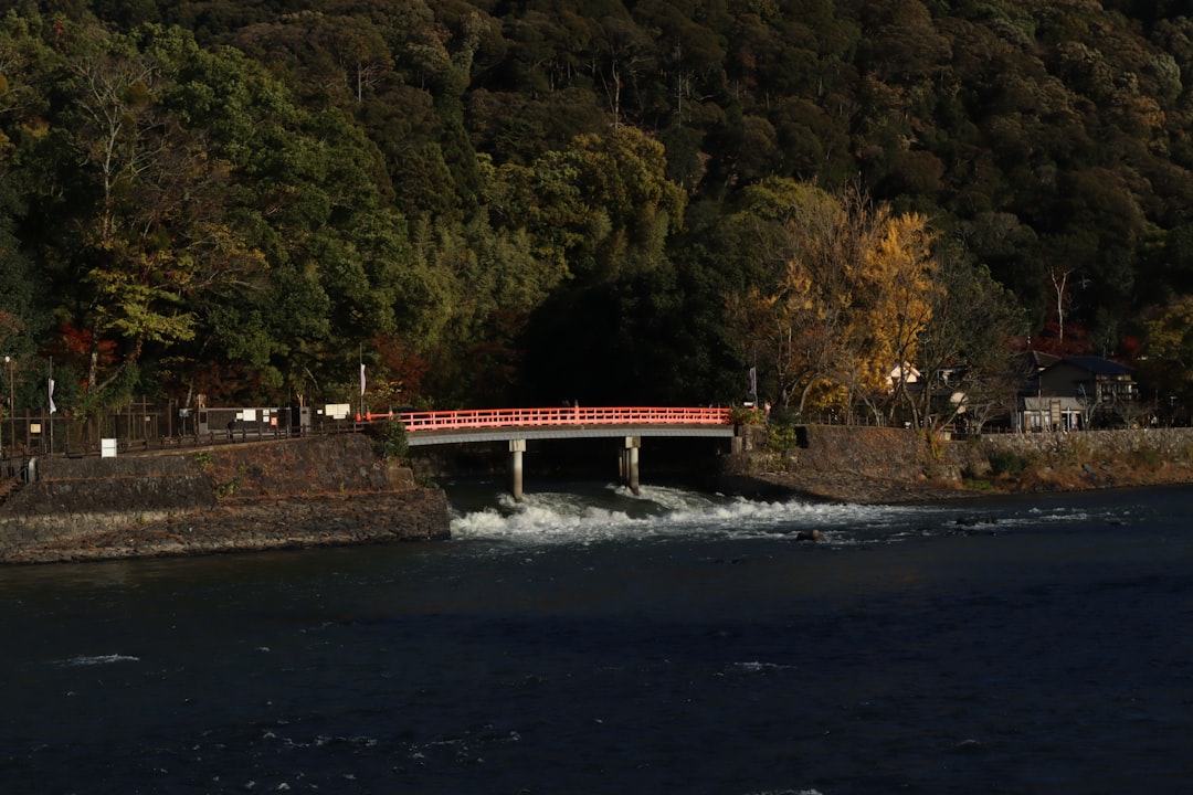 Découvrir la rivière Kibune : un coin de nature à Kyoto - Kyoto | Secret World Trip Planner