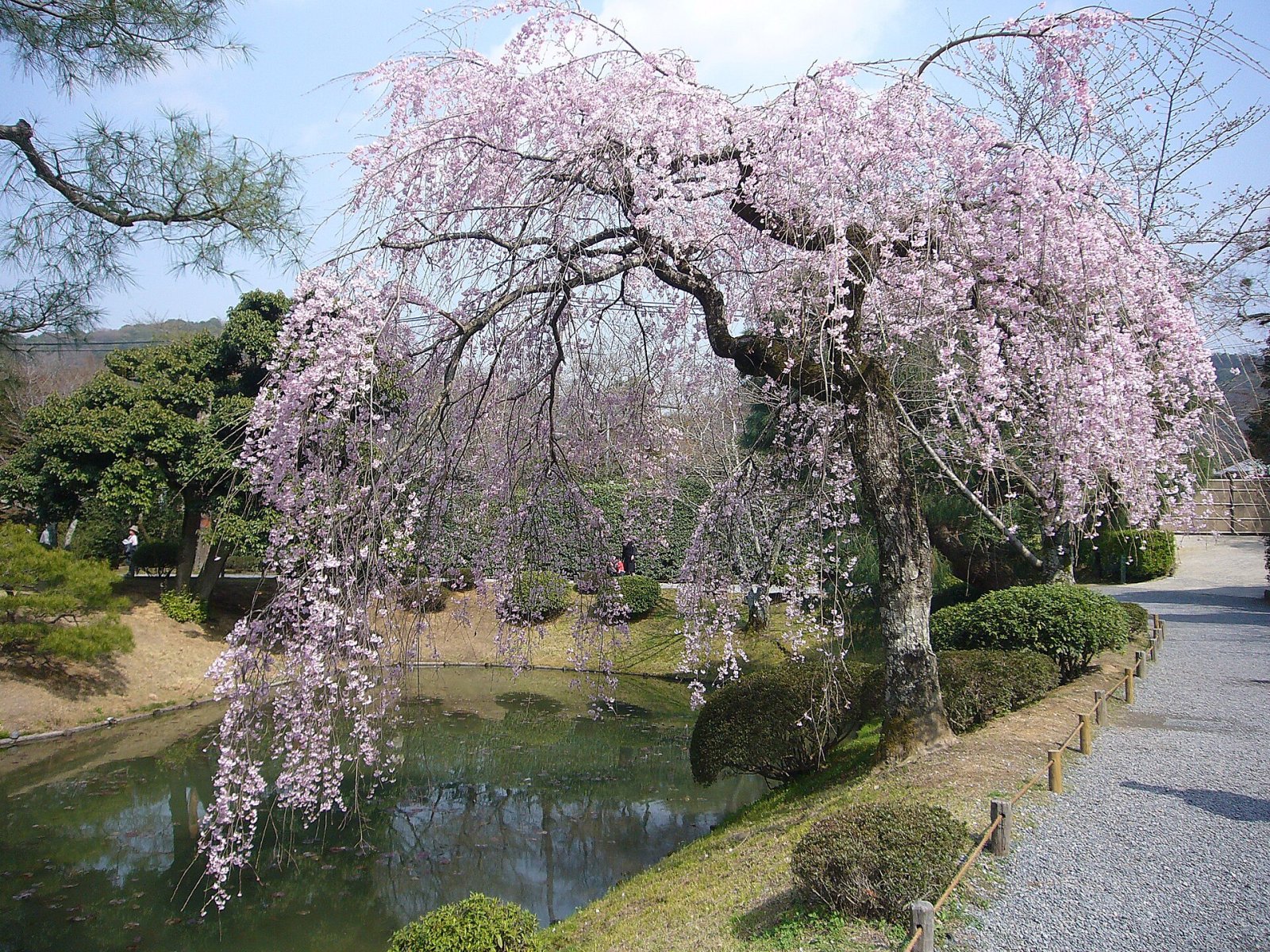 Descubra o Templo Byodo-in em Uji, Japão - Uji | Secret World Trip Planner