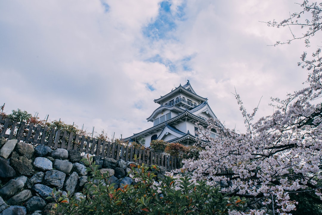 Descubra a História e a Beleza do Castelo de Nagahama - Nagahama | Secret World Trip Planner
