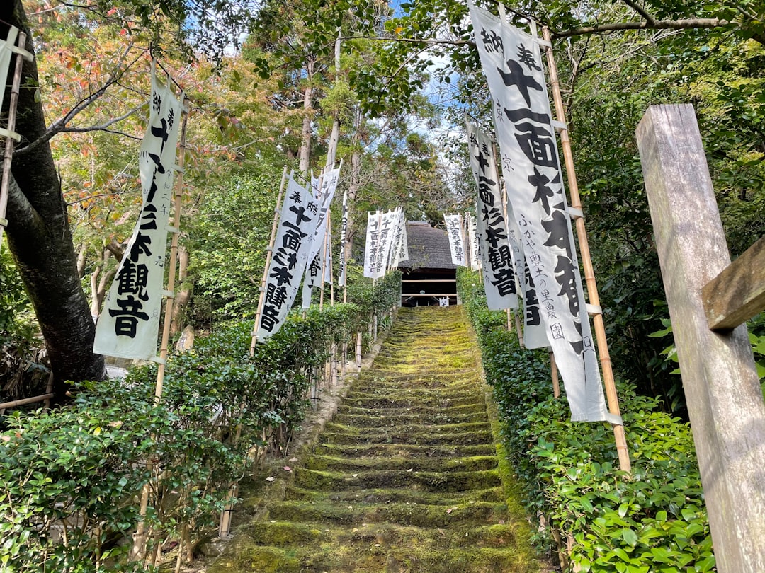 Entdecke den Kumano Kodo: der Pilgerweg in Japan — Tanabe