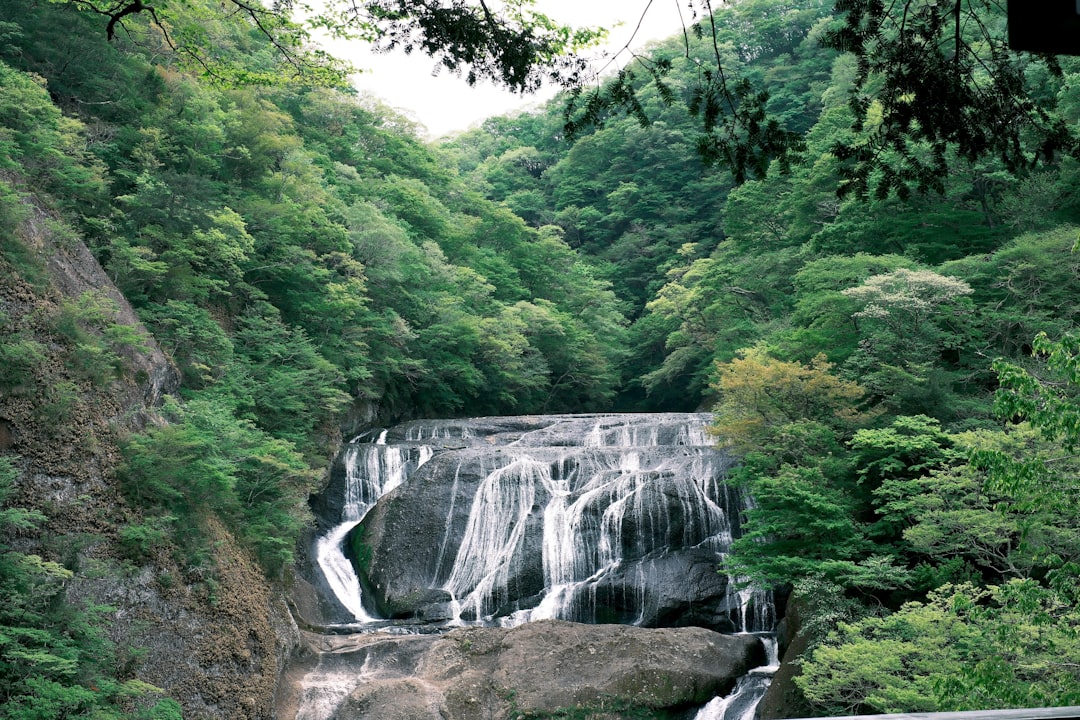 Entdecken Sie die Wunder des Minoh-Wasserfalls in Japan - Minoh | Secret World Trip Planner