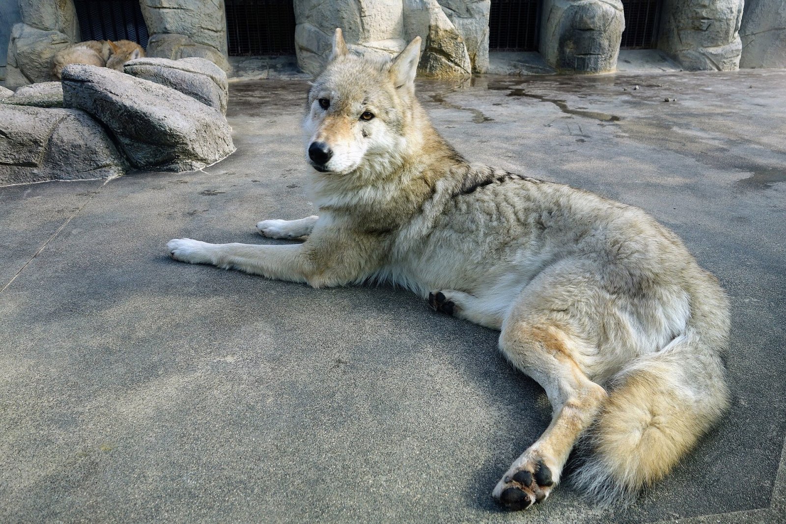 天王寺動物園を発見する：大阪の自然の隅 - Osaka | Secret World Trip Planner