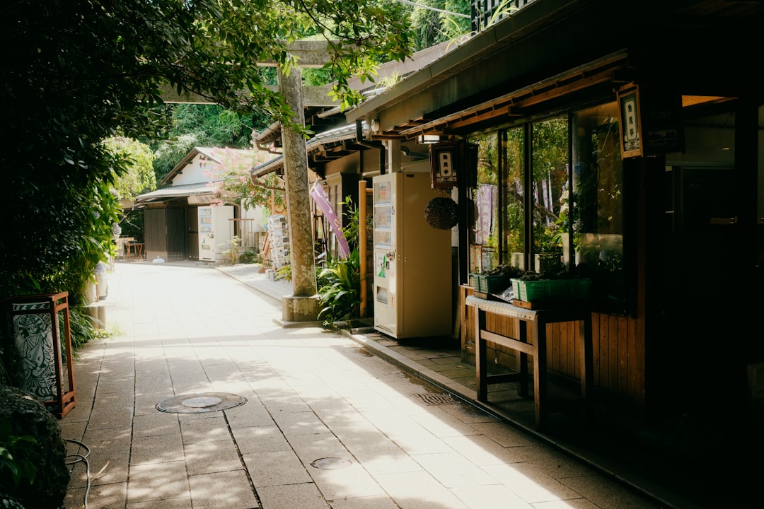 Scopri la Magia della Grotta Ryugado a Tosa, Shikoku - Konan | Secret World Trip Planner