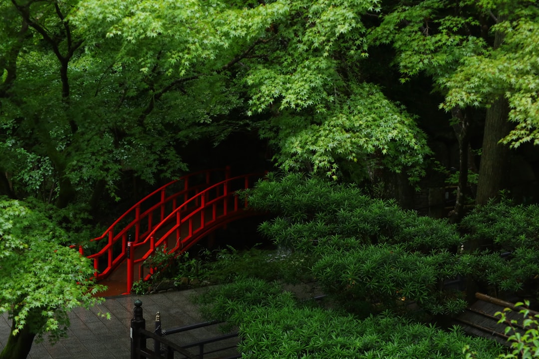 Entdecken Sie den Nanzoin-Tempel in Sasaguri: ein kultureller Schatz Japans - Sasaguri | Secret World Trip Planner