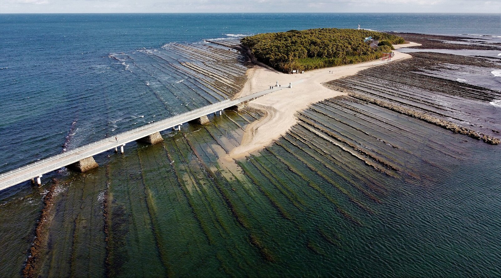Île Aoshima : Un Paradis Naturel au Cœur du Japon - Nichinan | Secret World Trip Planner