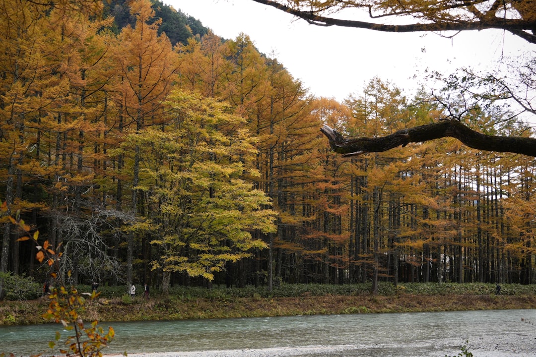 Explora el Parque Cuasi Nacional Genkai: Naturaleza y Cultura en Fukuoka - Fukuoka | Secret World Trip Planner