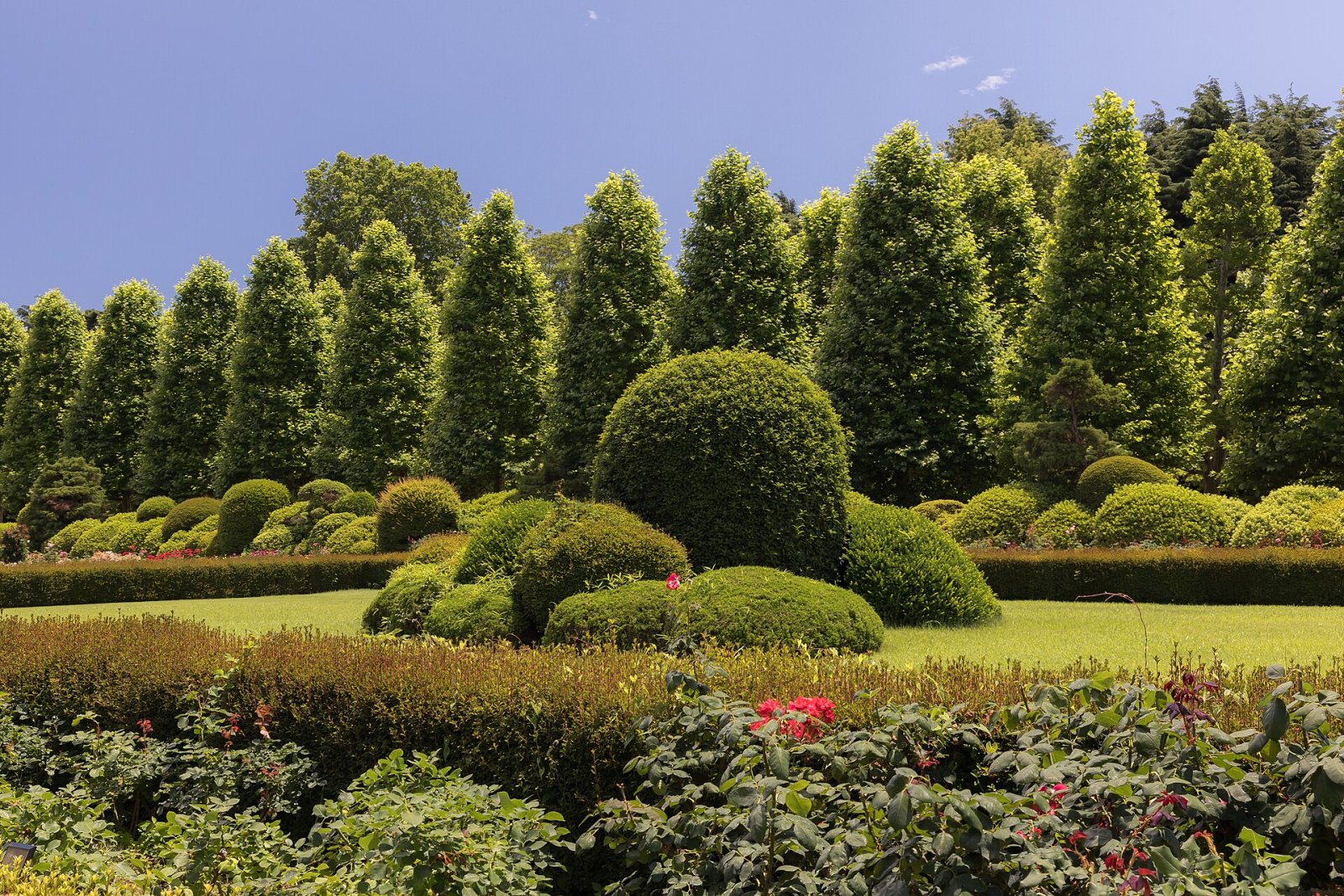 Entdecke Shinjuku Gyoen: eine Oase der Natur in Tokio - Shinjuku City | Secret World Trip Planner