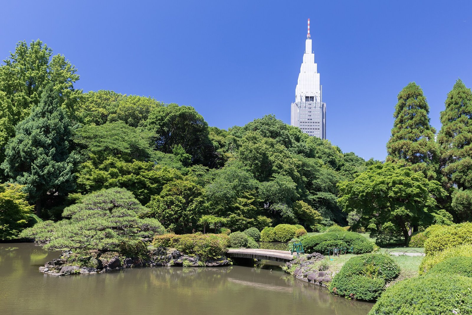 Entdecke Shinjuku Gyoen: eine Oase der Natur in Tokio - Shinjuku City | Secret World Trip Planner