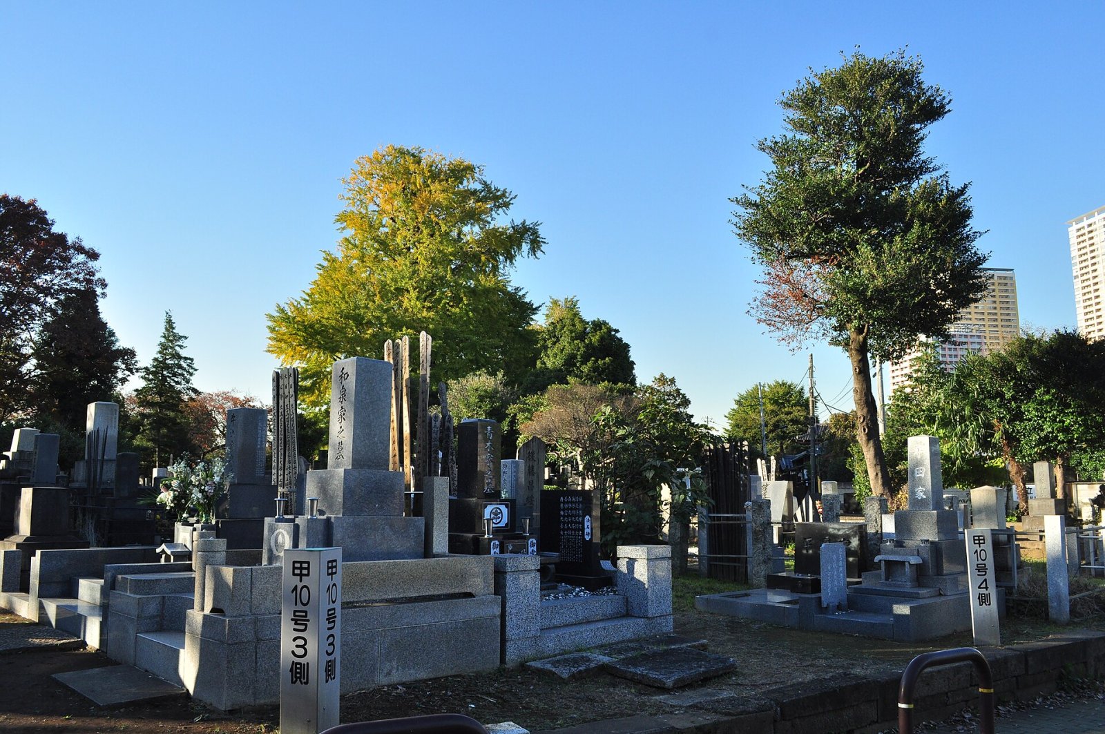 Янака: Путешествие в Историю Токио - Bunkyo City | Secret World Trip Planner
