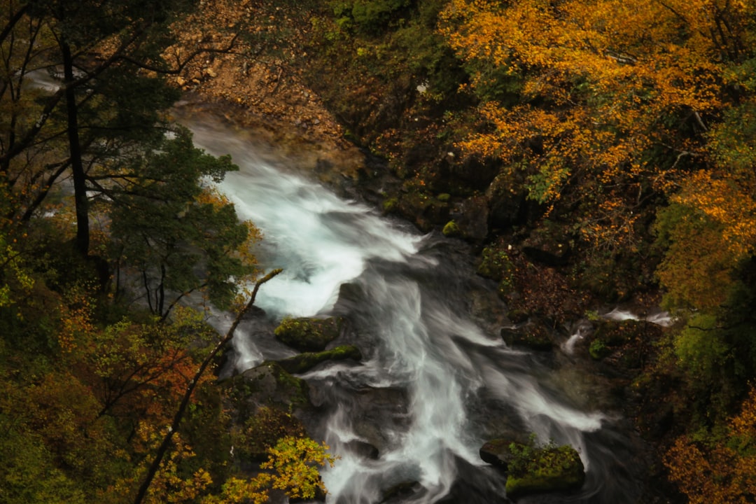 Kegon Falls: A Natural Gem in Nikko, Japan - Nikko | Secret World Trip Planner