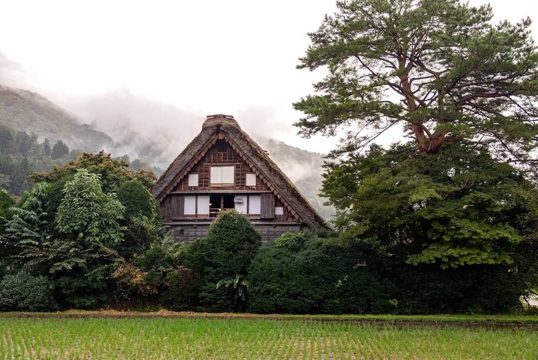 Discover Shirakawa-go: A Historical Gem in the Heart of Japan - Shirakawa | Secret World Trip Planner