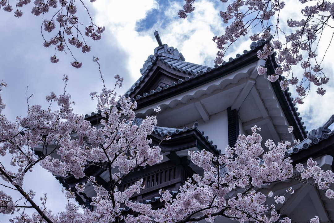 Scopri Kanazawa Castle: un tesoro storico del Giappone - Kanazawa | Secret World Trip Planner