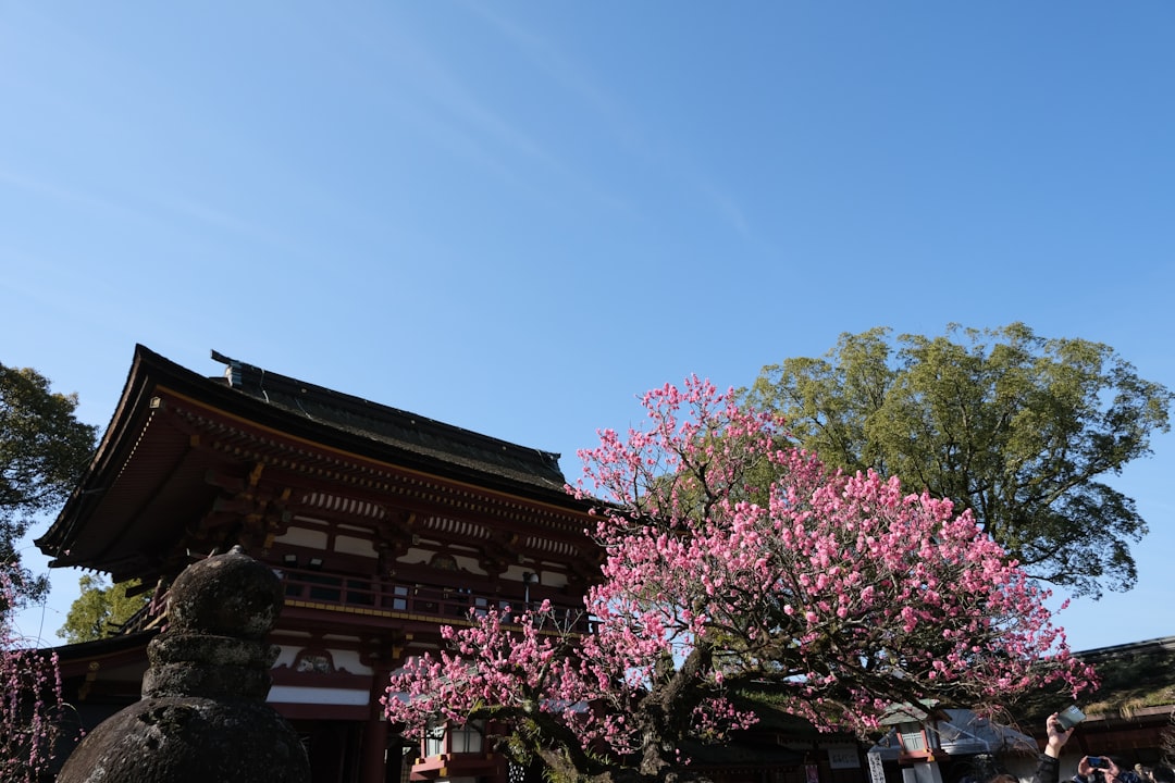 Descubriendo el Santuario Atsuta: un tesoro de Nagoya - Nagoya | Secret World Trip Planner