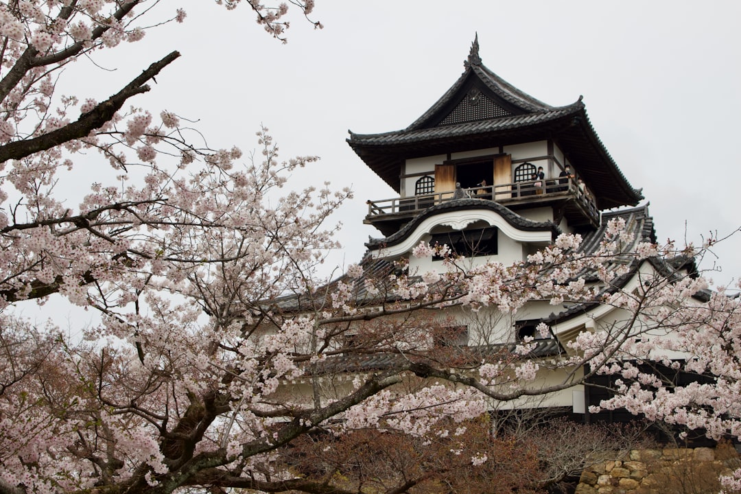 Inuyama Castle: A Historical Treasure in Japan - Inuyama | Secret World Trip Planner