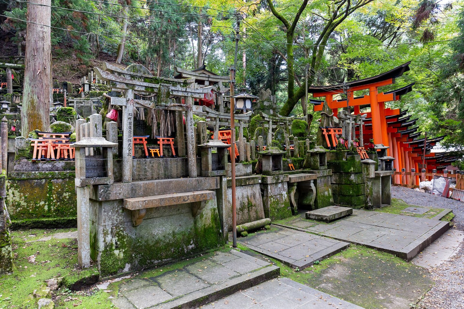 伏見稲荷大社：日本文化の中心への旅 - Kyoto | Secret World Trip Planner