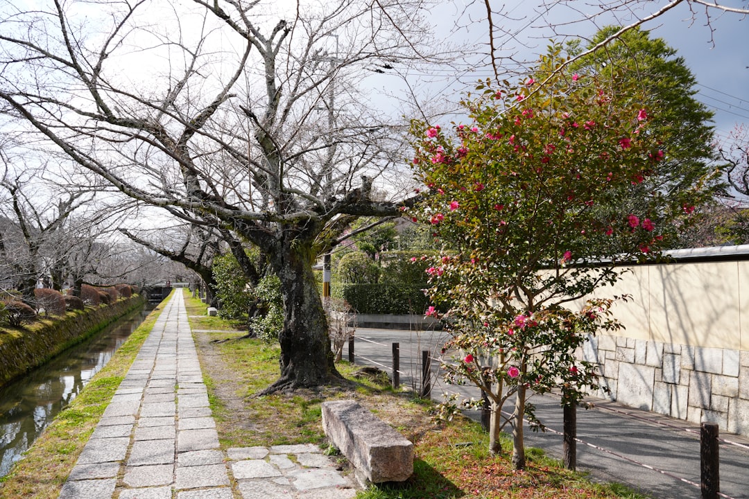 Entdecken Sie den Philosophenweg in Kyoto: Eine Reise in die Natur - Kyoto | Secret World Trip Planner