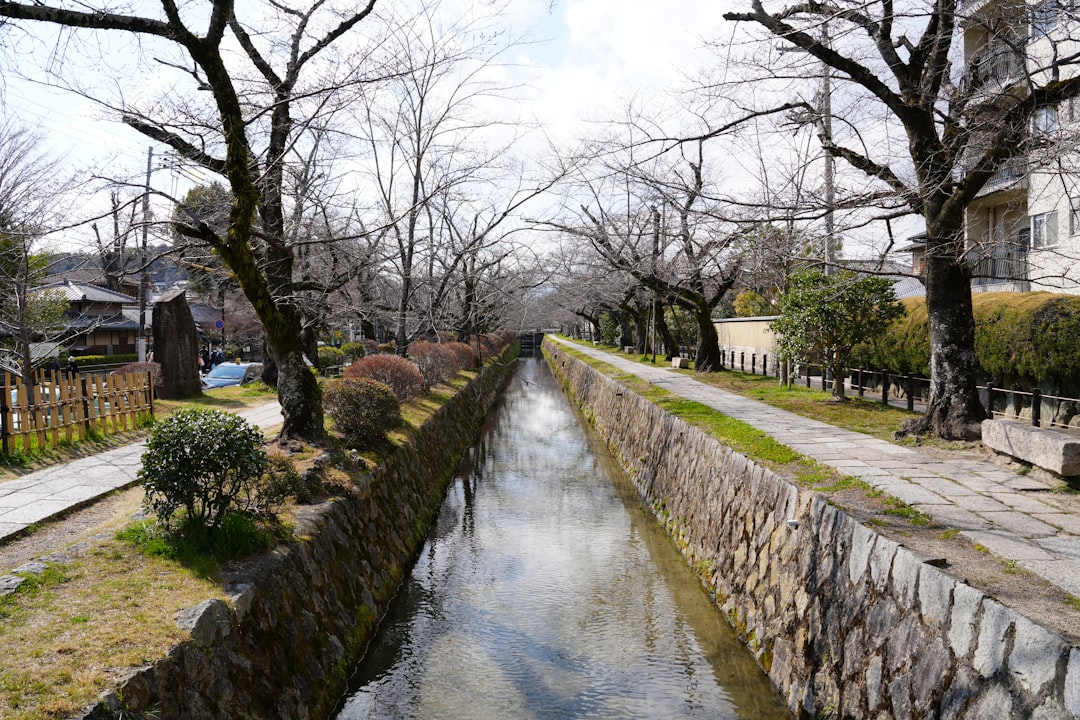 探索京都的哲学家小径：自然之旅 - Kyoto | Secret World Trip Planner