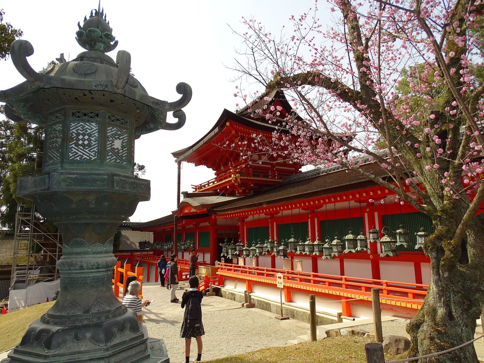 Kasuga Grand Shrine: Ein kultureller Schatz in Nara - Nara | Secret World Trip Planner