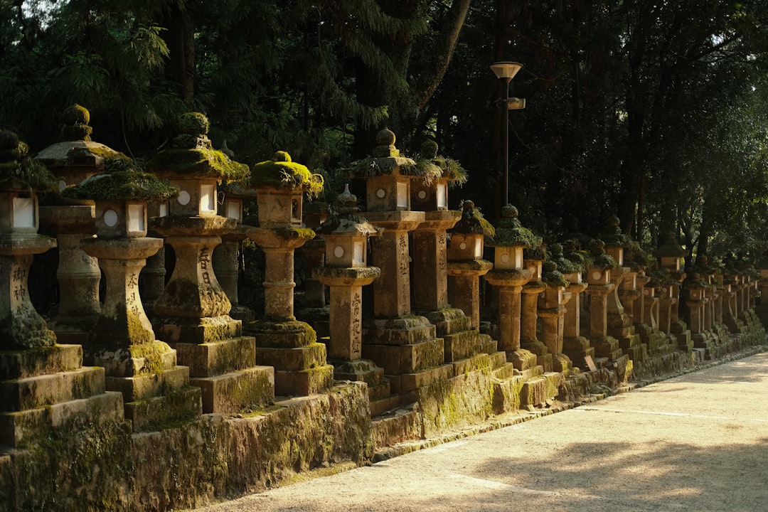Касуга Гранд Шрайн: культурное сокровище Нары - Nara | Secret World Trip Planner