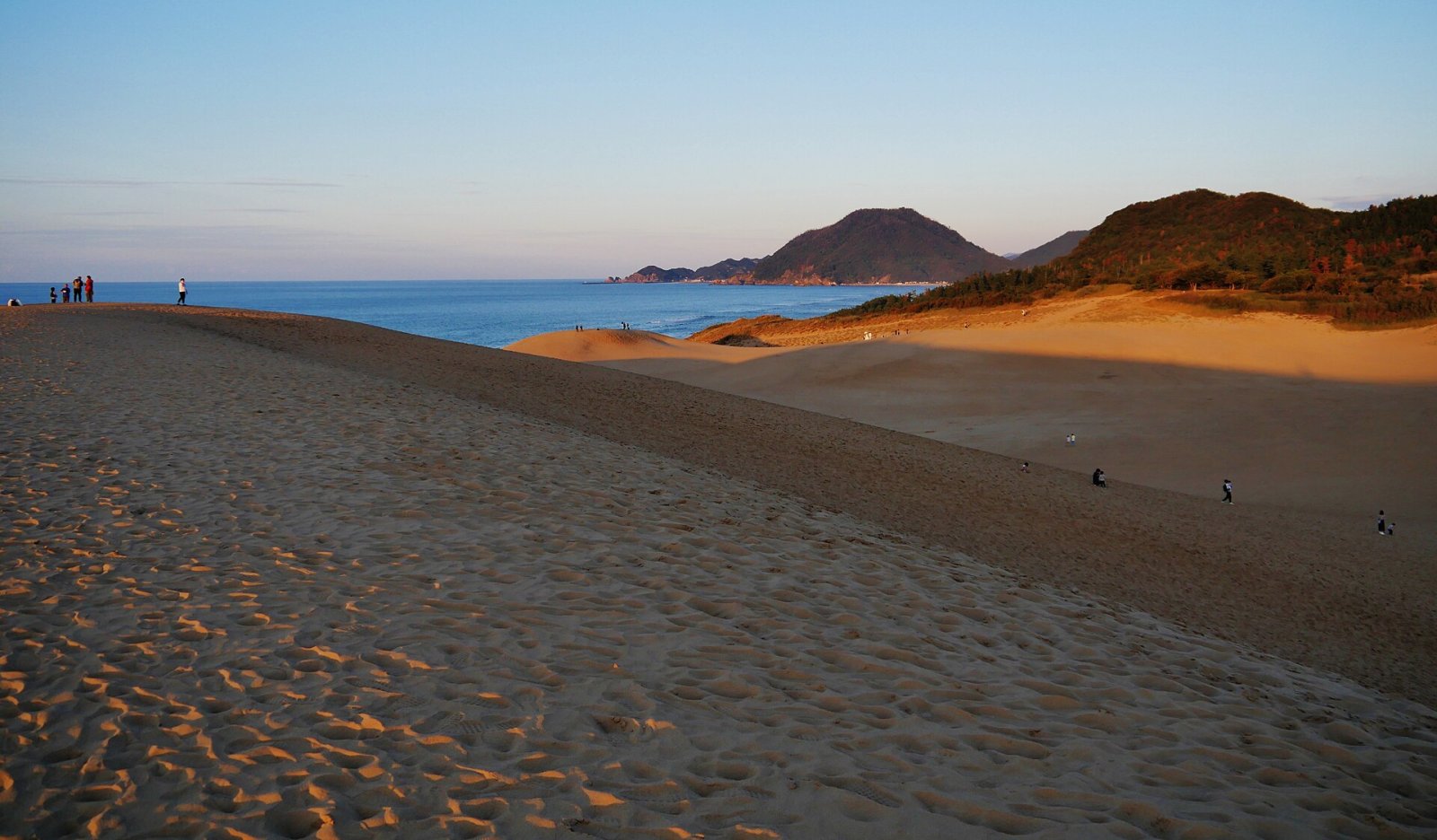 Scopri le Dune di Tottori: un gioiello della natura giapponese - Tottori | Secret World Trip Planner