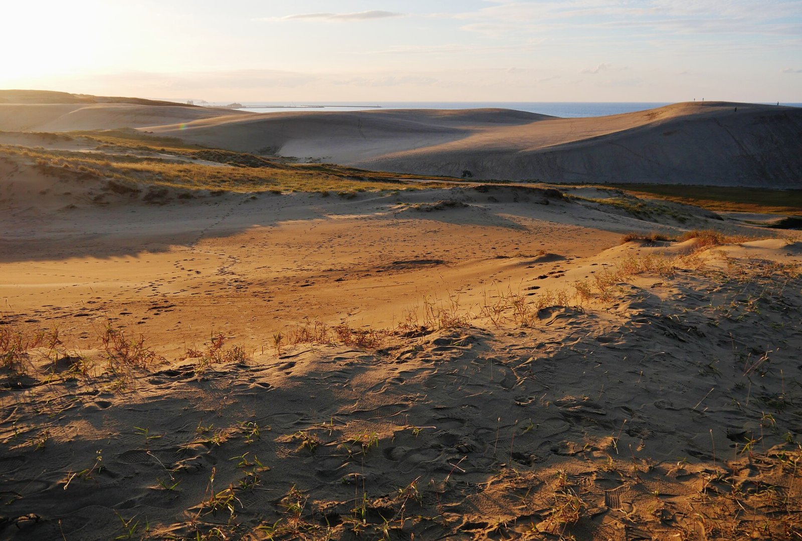 Scopri le Dune di Tottori: un gioiello della natura giapponese - Tottori | Secret World Trip Planner