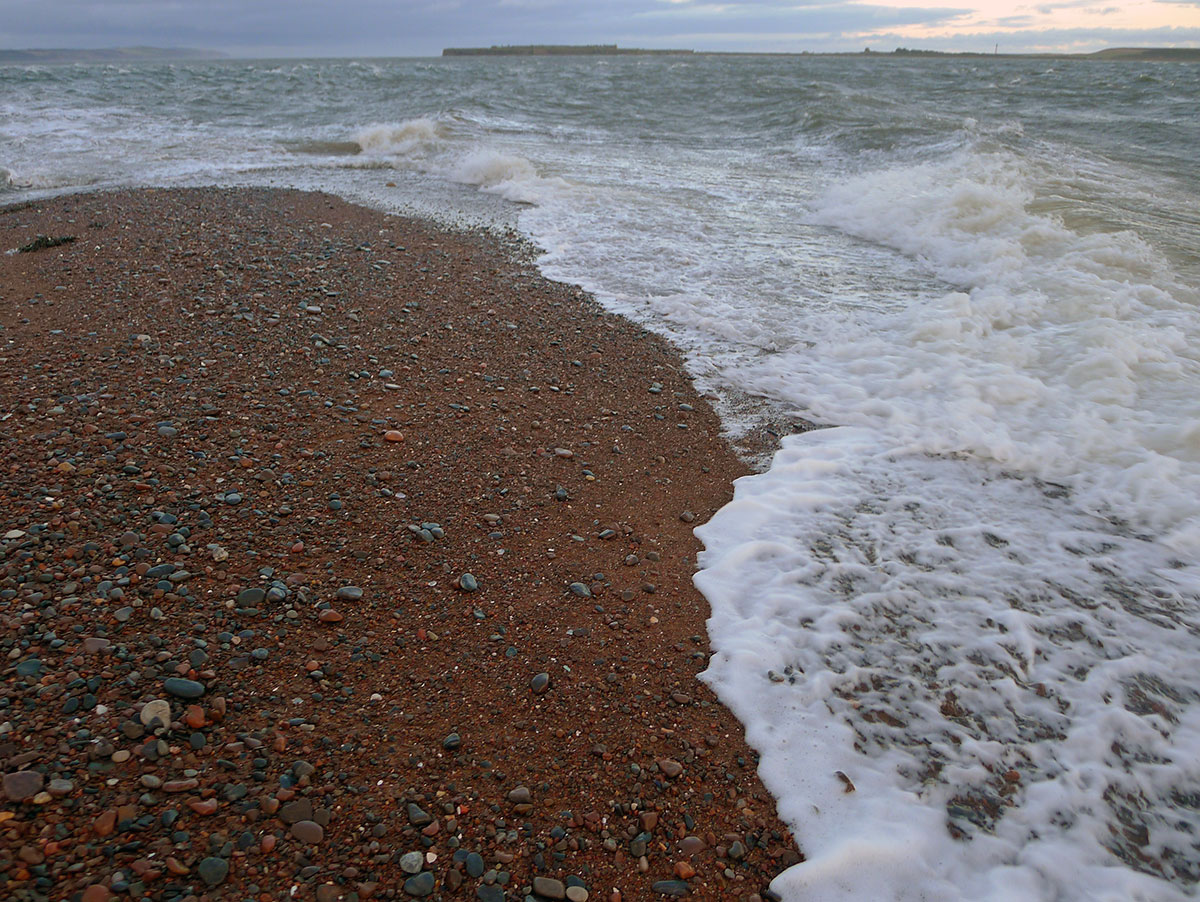 Chanonry Point：苏格兰自然爱好者的天堂 - Highland Council | Secret World Trip Planner