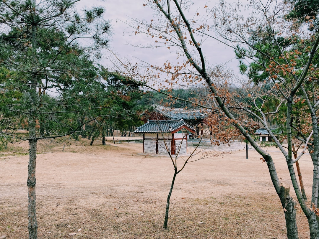 Ulsanbawi Rock : La Merveille Naturelle de Sokcho — Sokcho-si