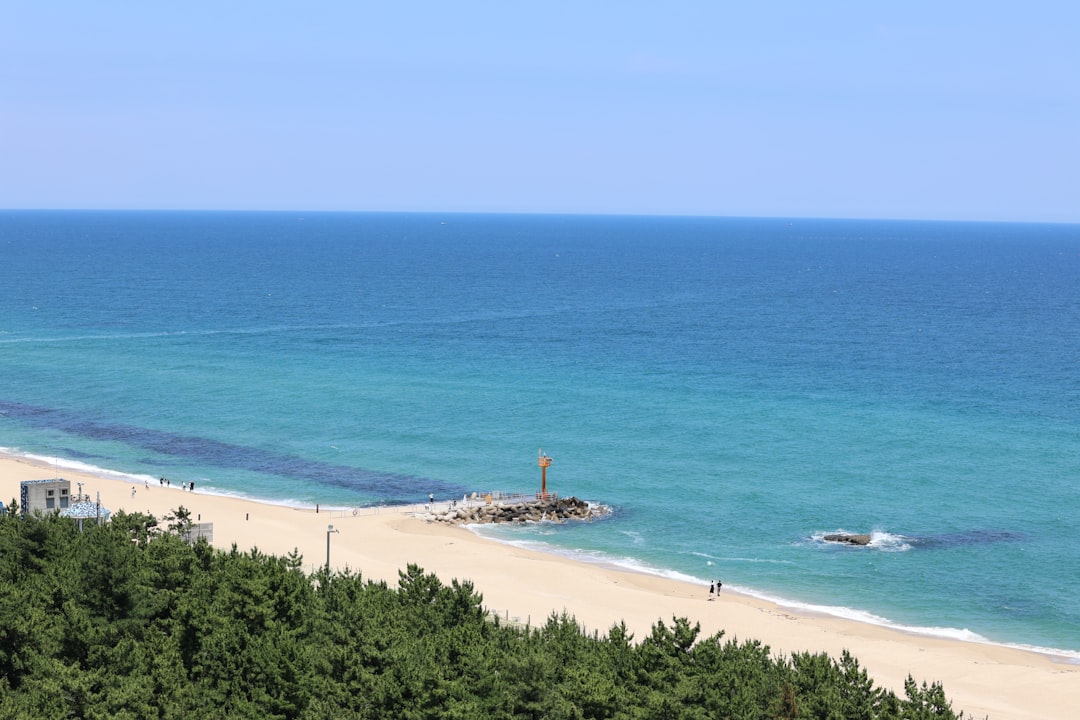Jeongdongjin Beach: un angolo di paradiso in Corea del Sud - Gangneung | Secret World Trip Planner