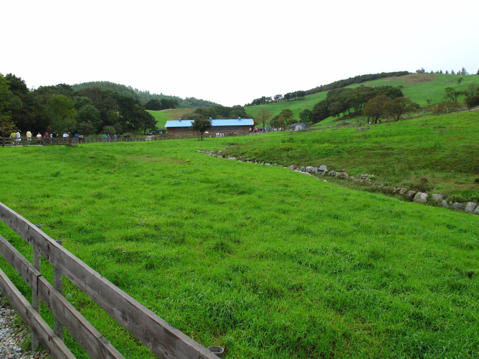 Discover the Daegwallyeong Sheep Farm in Pyeongchang - Pyeongchang-gun | Secret World Trip Planner