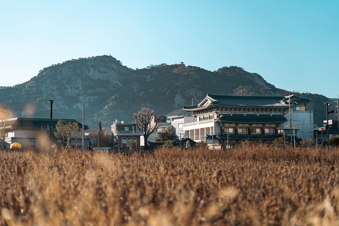 Découvrez la Daegwallyeong Sheep Farm à Pyeongchang - Pyeongchang-gun | Secret World Trip Planner