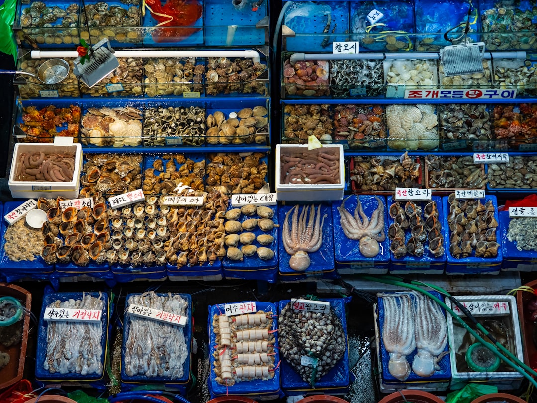 Noryangjin Fish Market: Uma viagem pelos sabores de Seul - Dongjak District | Secret World Trip Planner