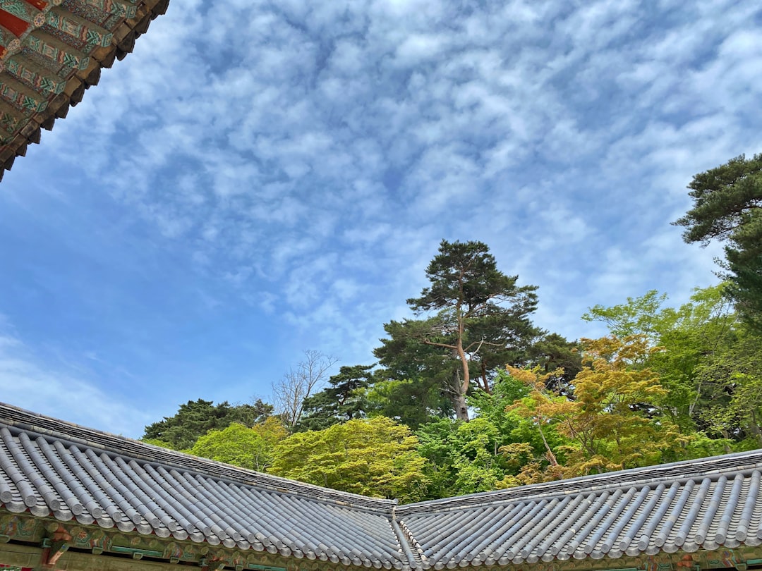 Explore Seokguram Grotto: A Historical Treasure in South Korea - Gyeongju | Secret World Trip Planner