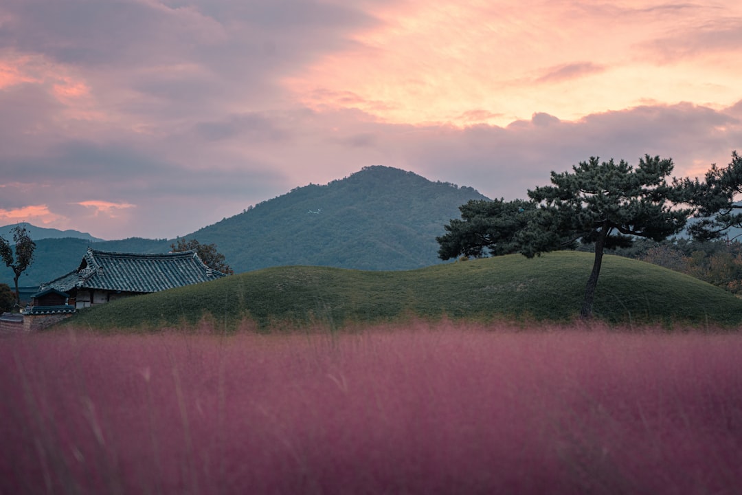 Discover Gyeongju's Tumuli Park: A Journey into Korean History — Gyeongju