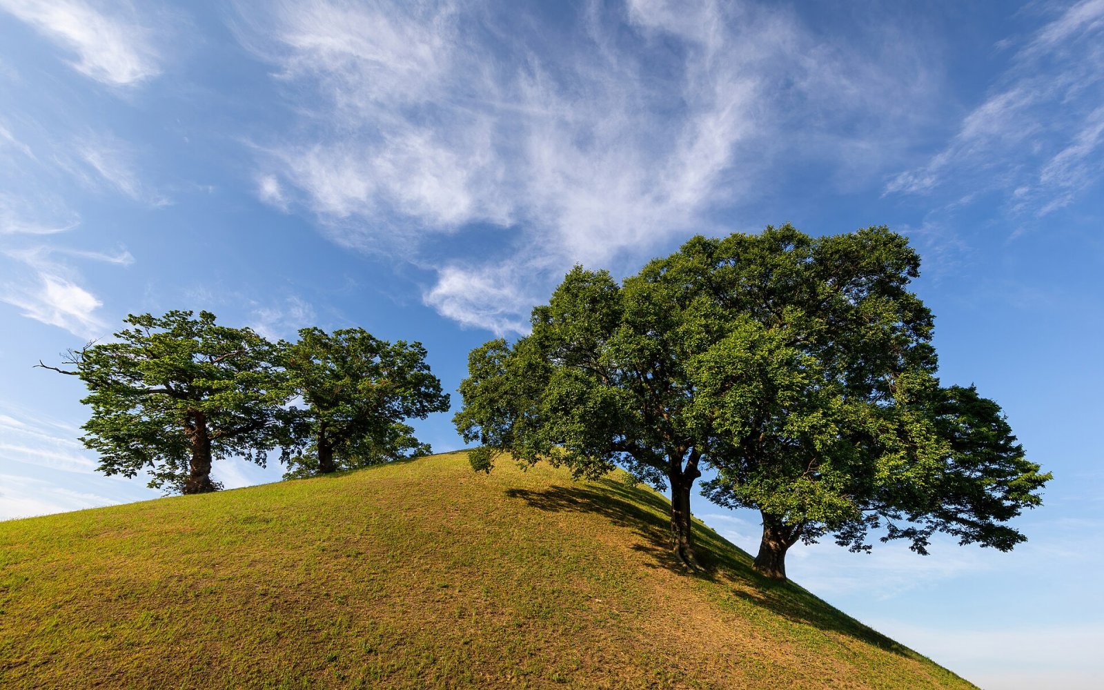 Discover Gyeongju's Tumuli Park: A Journey into Korean History - Gyeongju | Secret World Trip Planner