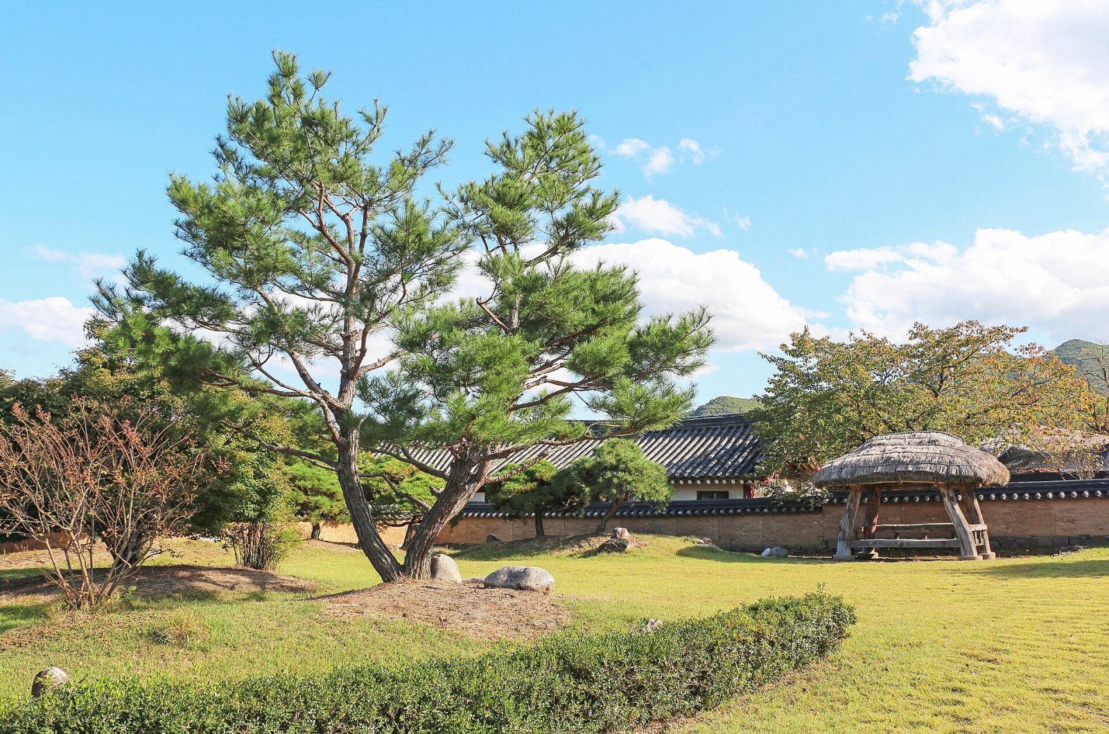 Descubra a Vila Folclórica Hahoe: um tesouro cultural na Coreia do Sul - Andong | Secret World Trip Planner